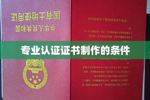 武功专业认证证书制作的条件