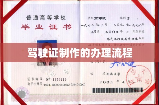 武功驾驶证制作的办理流程