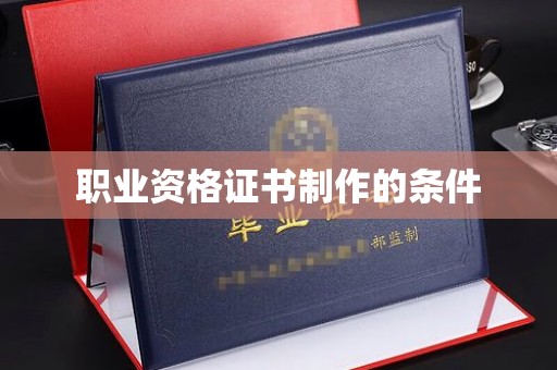 武功职业资格证书制作的条件