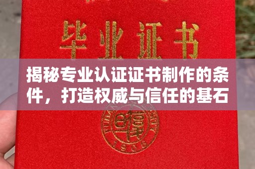 武功揭秘专业认证证书制作的条件，打造权威与信任的基石