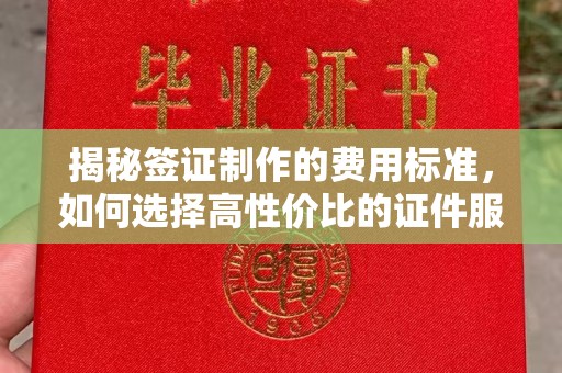 武功揭秘签证制作的费用标准，如何选择高性价比的证件服务