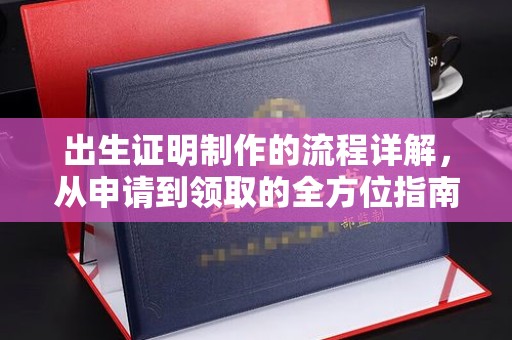 武功出生证明制作的流程详解，从申请到领取的全方位指南