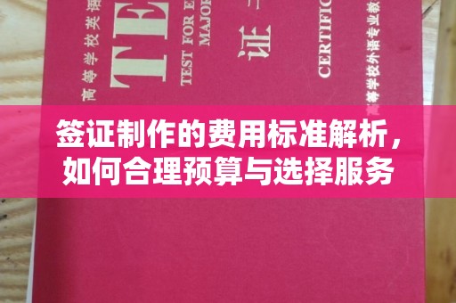 武功签证制作的费用标准解析，如何合理预算与选择服务