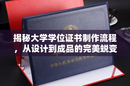 武功揭秘大学学位证书制作流程，从设计到成品的完美蜕变