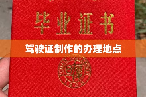 武功驾驶证制作的办理地点