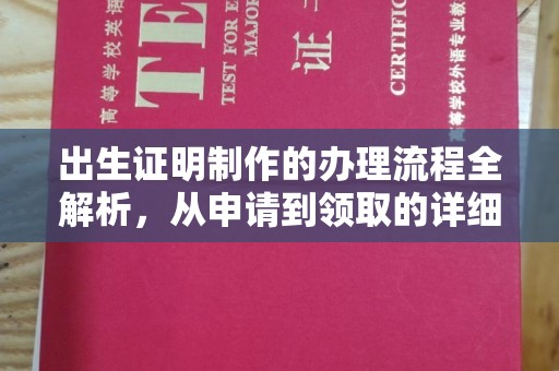 武功出生证明制作的办理流程全解析，从申请到领取的详细指南
