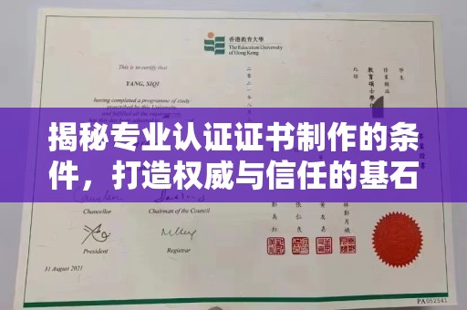 武功揭秘专业认证证书制作的条件，打造权威与信任的基石