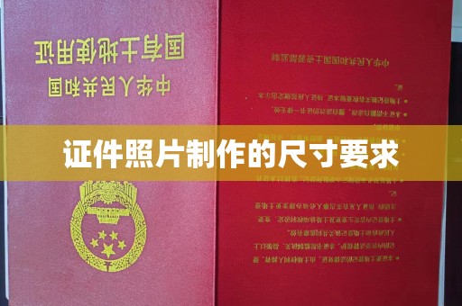 武功证件照片制作的尺寸要求