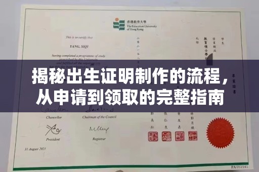 武功揭秘出生证明制作的流程，从申请到领取的完整指南