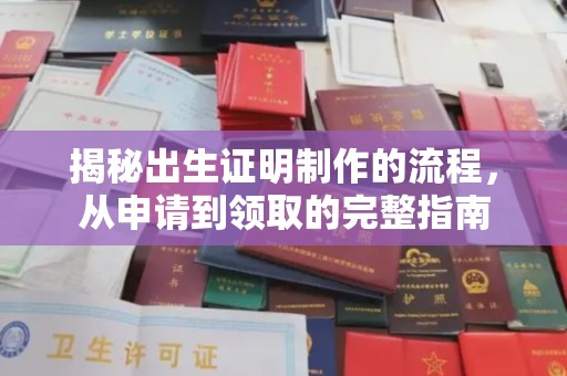 武功揭秘出生证明制作的流程，从申请到领取的完整指南