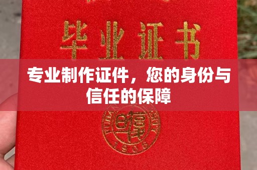 武功专业制作证件，您的身份与信任的保障