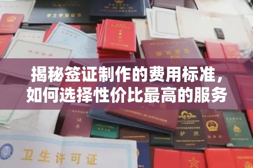 武功揭秘签证制作的费用标准，如何选择性价比最高的服务？