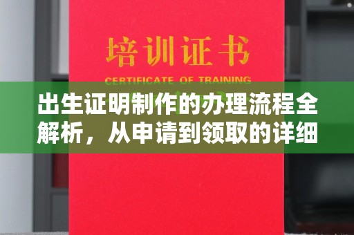 武功出生证明制作的办理流程全解析，从申请到领取的详细指南
