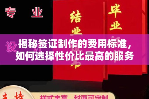 武功揭秘签证制作的费用标准，如何选择性价比最高的服务？